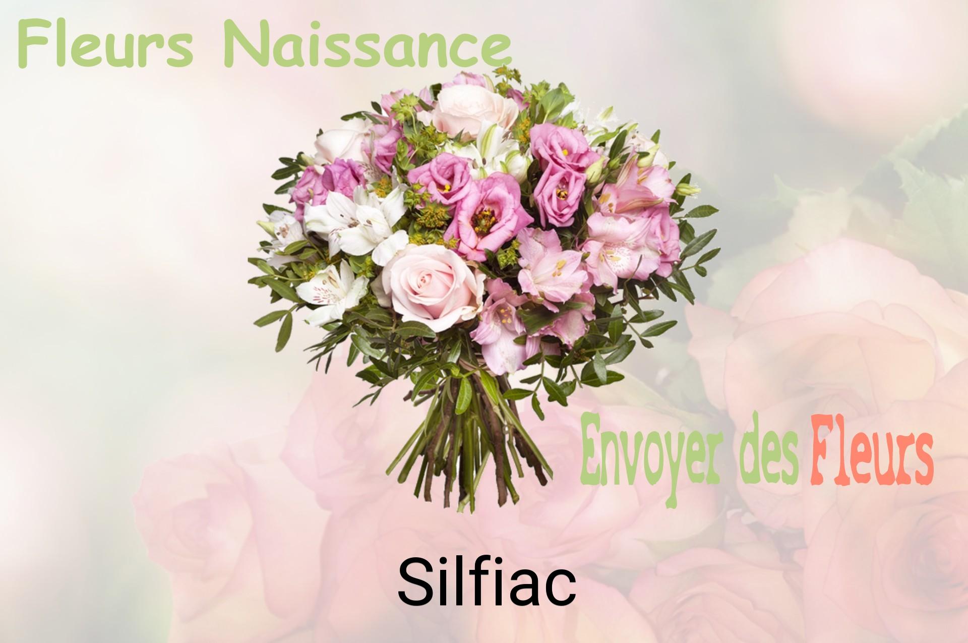 Bouquet de fleurs de naissance livré à Silfiac